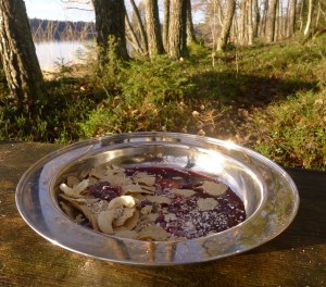 Mysli mustikkakiisselillä