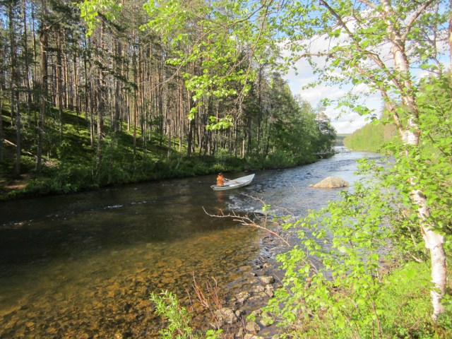 Härkäkoskea laskemassa