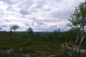 Matka Hammastunturiin alkaan