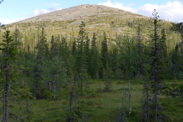 Kohti Kotamajaa menossa