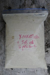 Kookoslettua odottelemassa