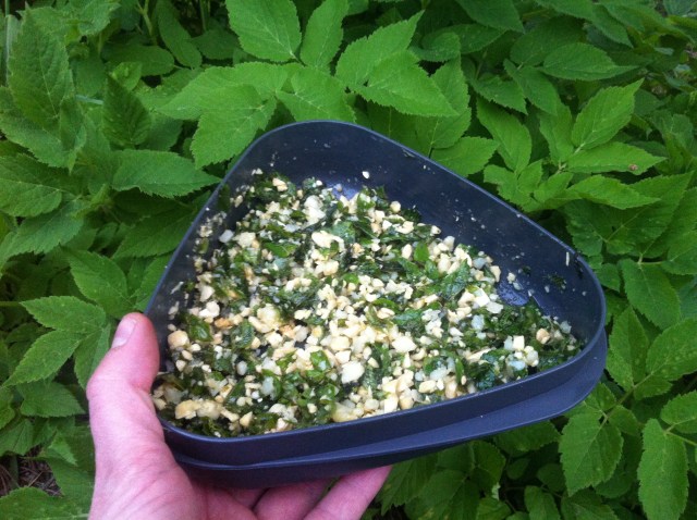 Vuohenputki-ketunleipäpesto